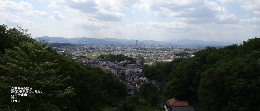 多摩丘陵を散策_c0051105_22594392.jpg