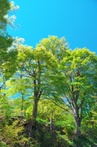 a0263109_09310455.jpg