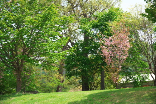 a0263109_10041157.jpg