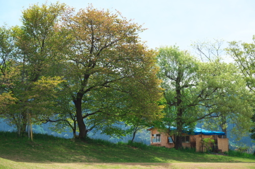 a0263109_10041161.jpg