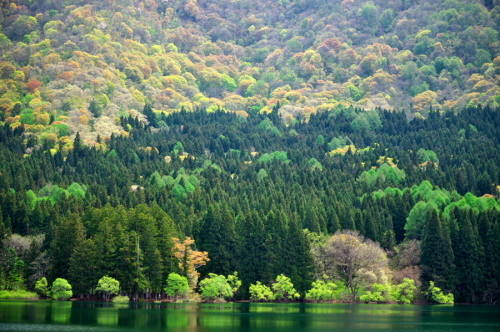 a0263109_15210899.jpg