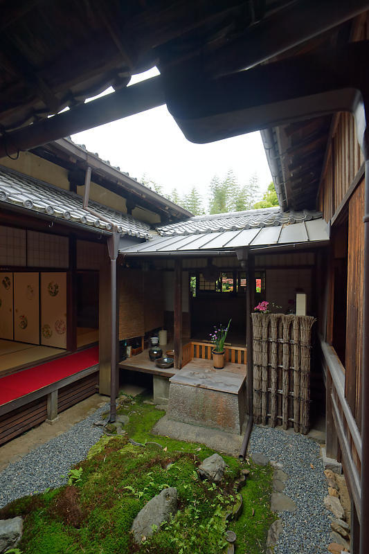 初夏の花巡り・霧島躑躅@妙心寺 大雄院_f0032011_21413204.jpg
