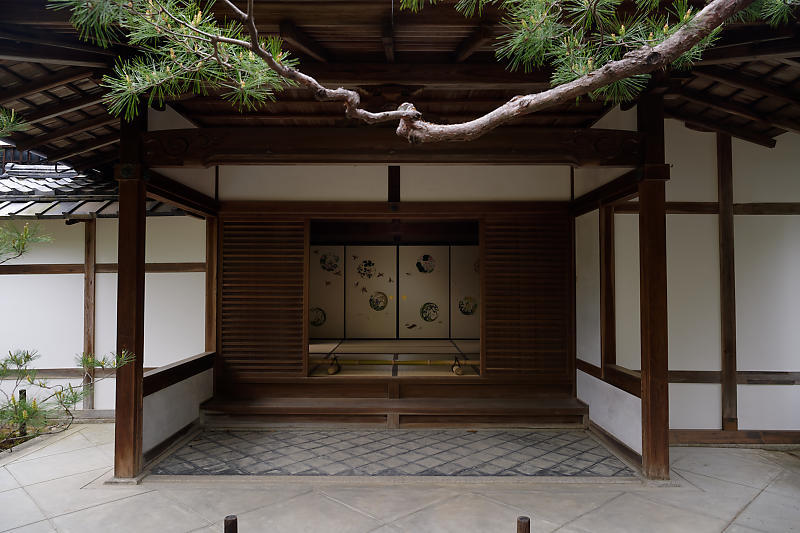 初夏の花巡り・霧島躑躅@妙心寺 大雄院_f0032011_21413326.jpg