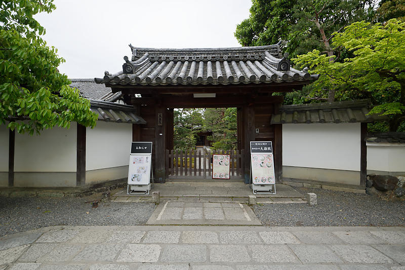 初夏の花巡り・霧島躑躅@妙心寺 大雄院_f0032011_21420843.jpg