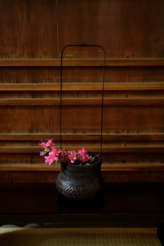 初夏の花巡り・霧島躑躅@妙心寺 大雄院_f0032011_21421658.jpg
