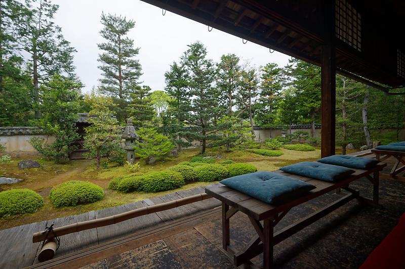 初夏の花巡り・霧島躑躅@妙心寺 大雄院_f0032011_21451241.jpg