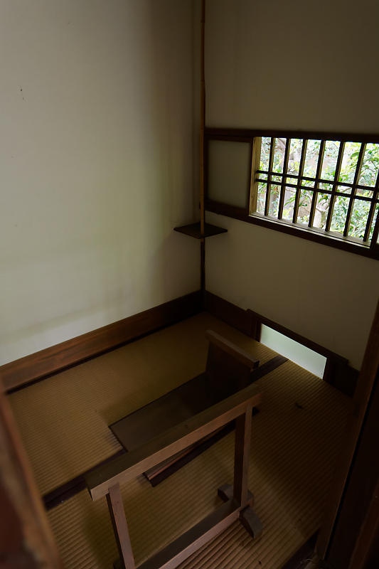初夏の花巡り・霧島躑躅@妙心寺 大雄院_f0032011_21451265.jpg