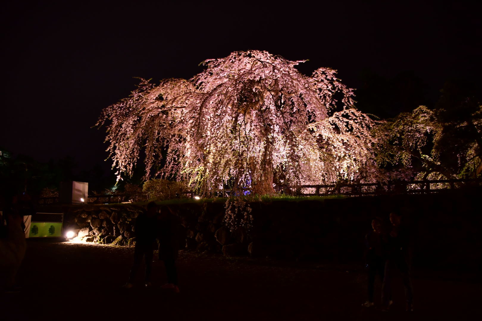 圧倒的桜！GW旅 2019 その8 _b0223512_00070952.jpeg