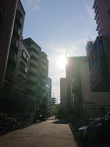 d0129713_17542737.jpg