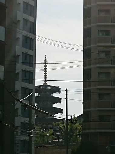 d0129713_17543522.jpg