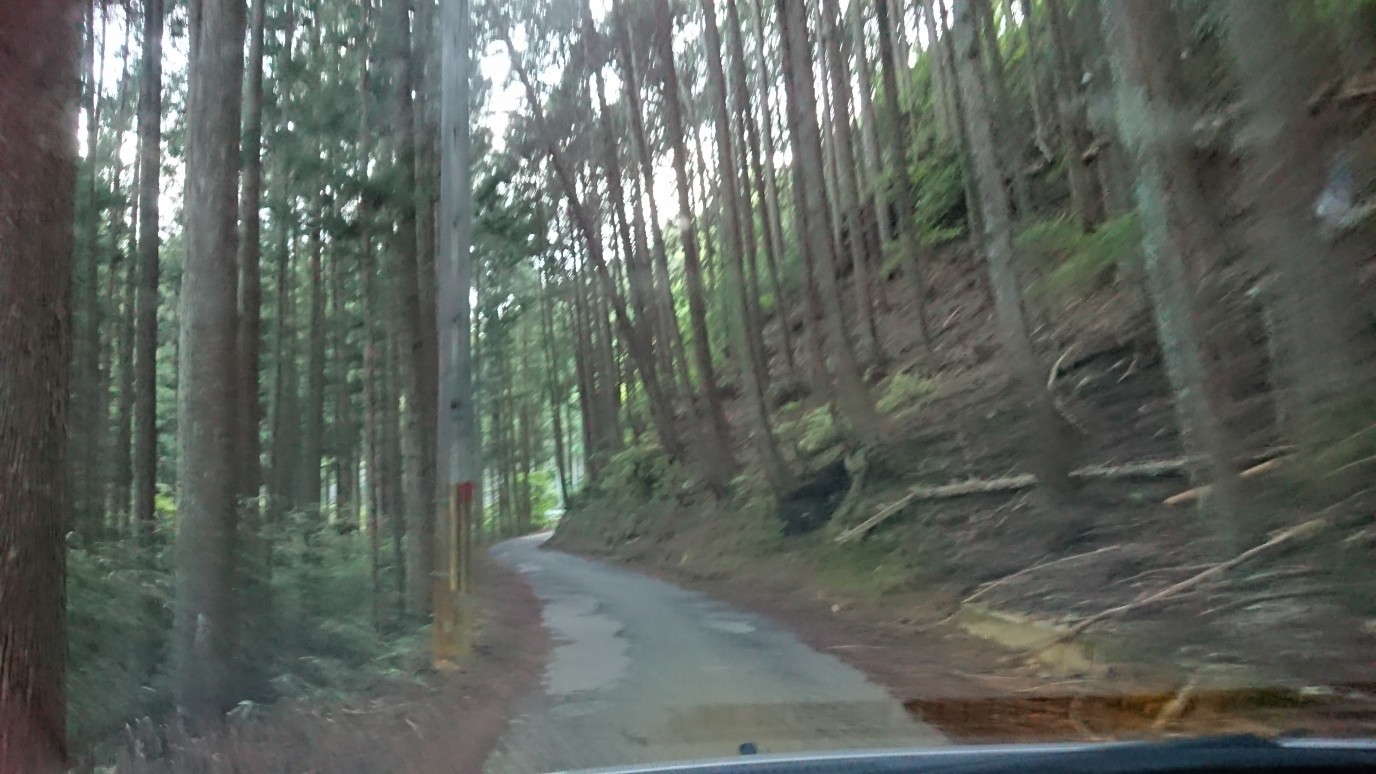 c0221718_14401639.jpg