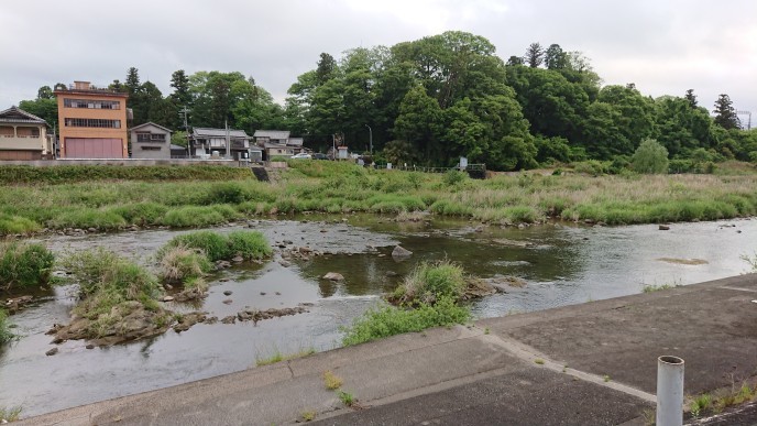 ★　宮川解禁　②　★　メガネのノハラ　イオン洛南店　釣り三昧ブログより_c0221718_14422988.jpg