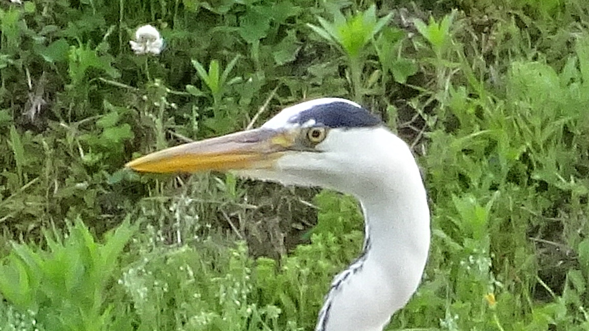 d0181824_12253605.jpg