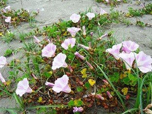 f0213825_07411288.jpg