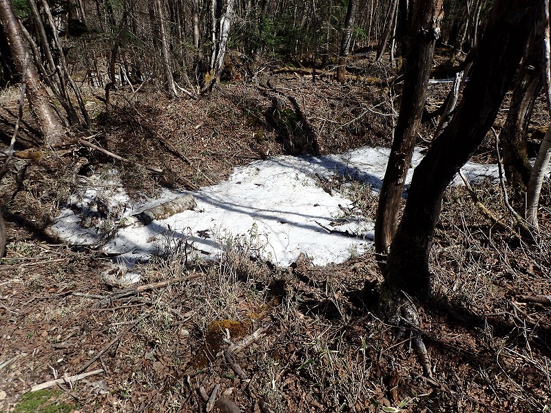 e0284726_2316180.jpg