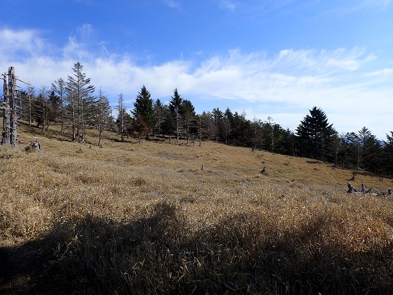 e0284726_23194792.jpg