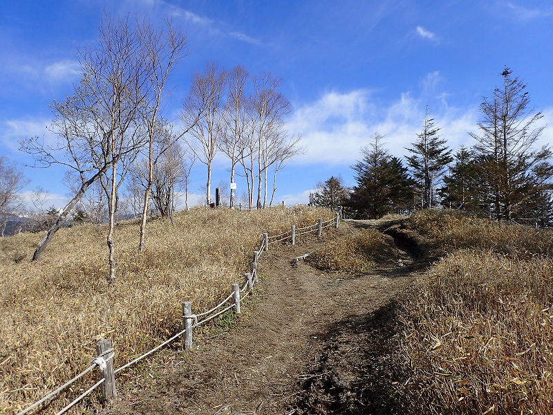 e0284726_23195731.jpg