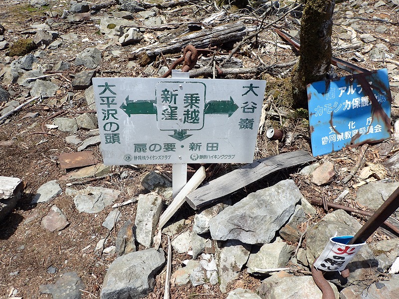 e0284726_2326690.jpg
