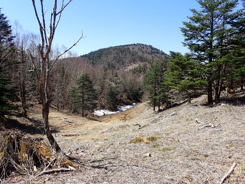 e0284726_23303049.jpg