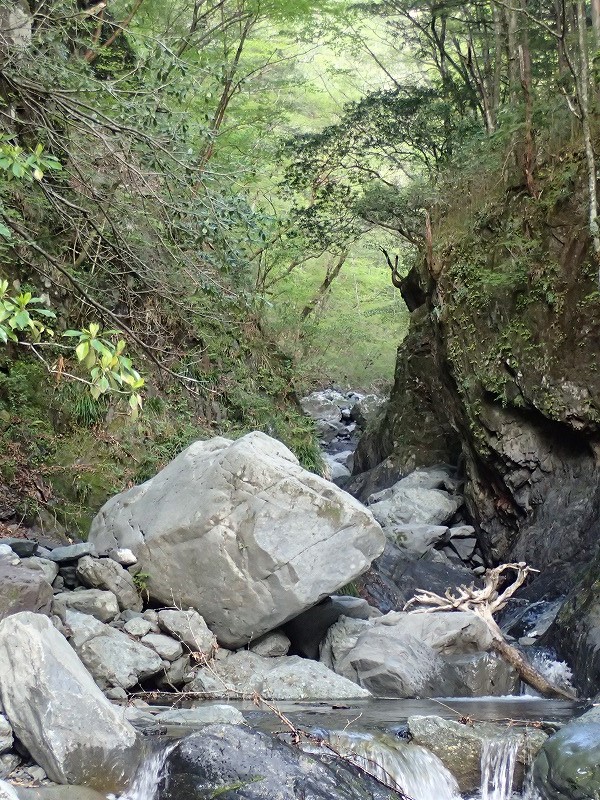 e0284726_235214.jpg