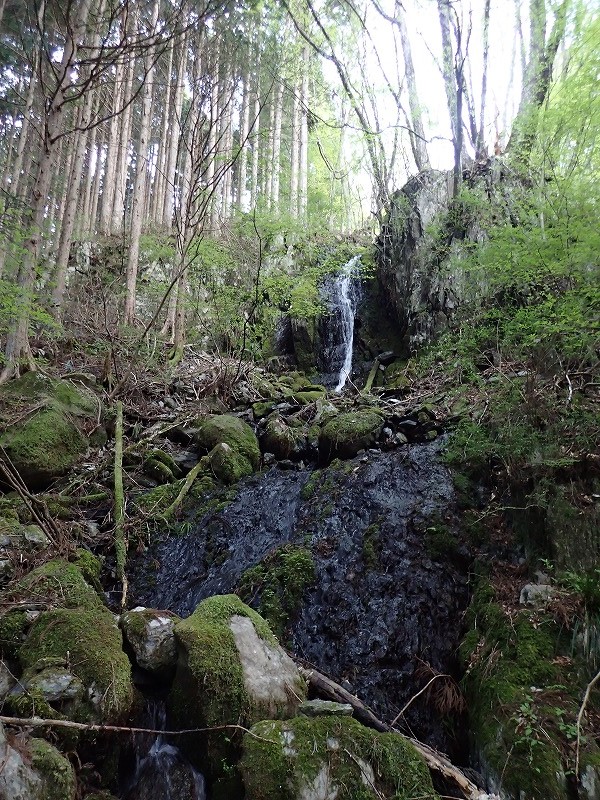 e0284726_2353368.jpg