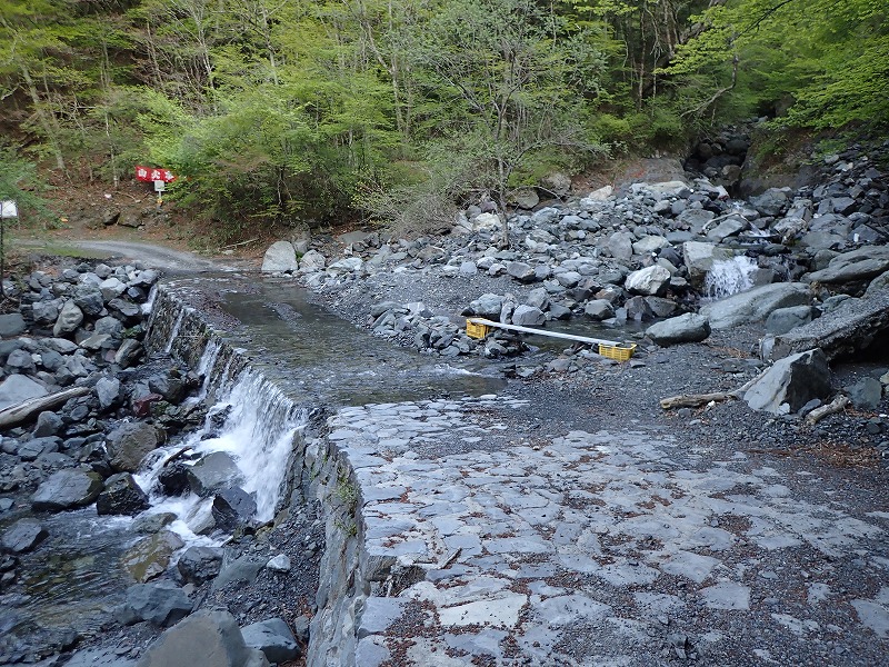 e0284726_23542.jpg