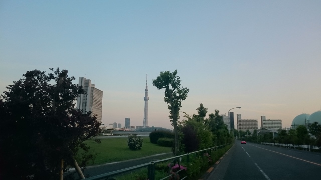 a0214329_16474718.jpg