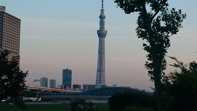 a0214329_16541782.jpg