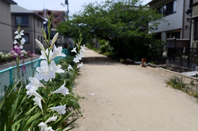 a0242438_20541169.jpg