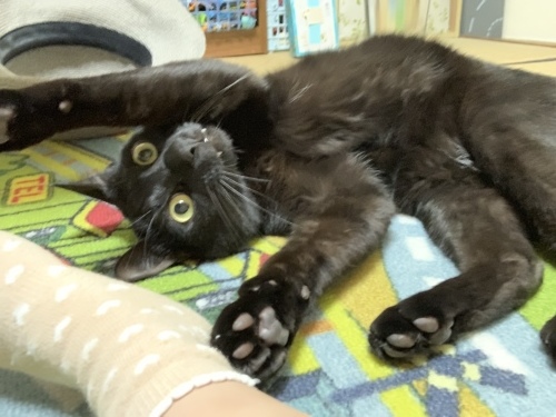 b0341440_19074937.jpeg