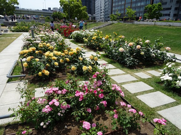 b0299042_12114546.jpg