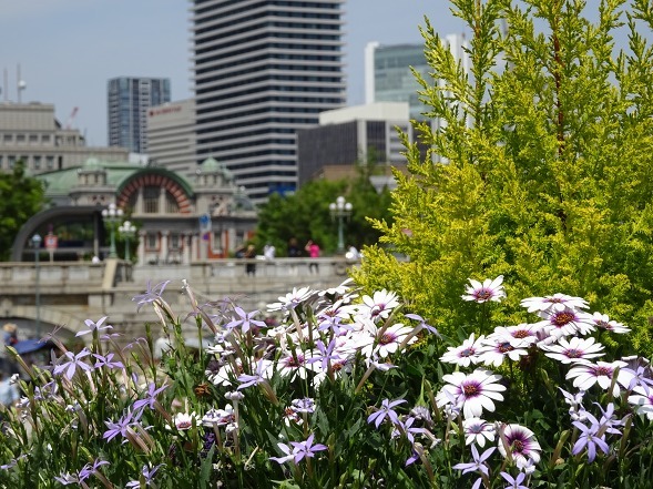 b0299042_12120550.jpg