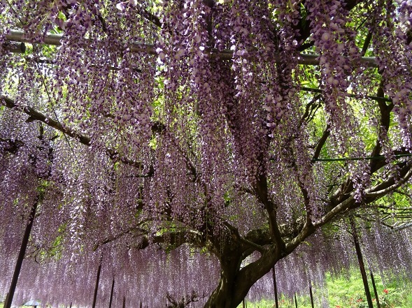 b0299042_15385498.jpg