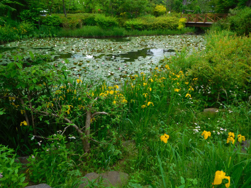 a0305943_23140845.jpg
