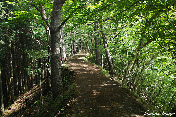 b0130243_20292886.jpg