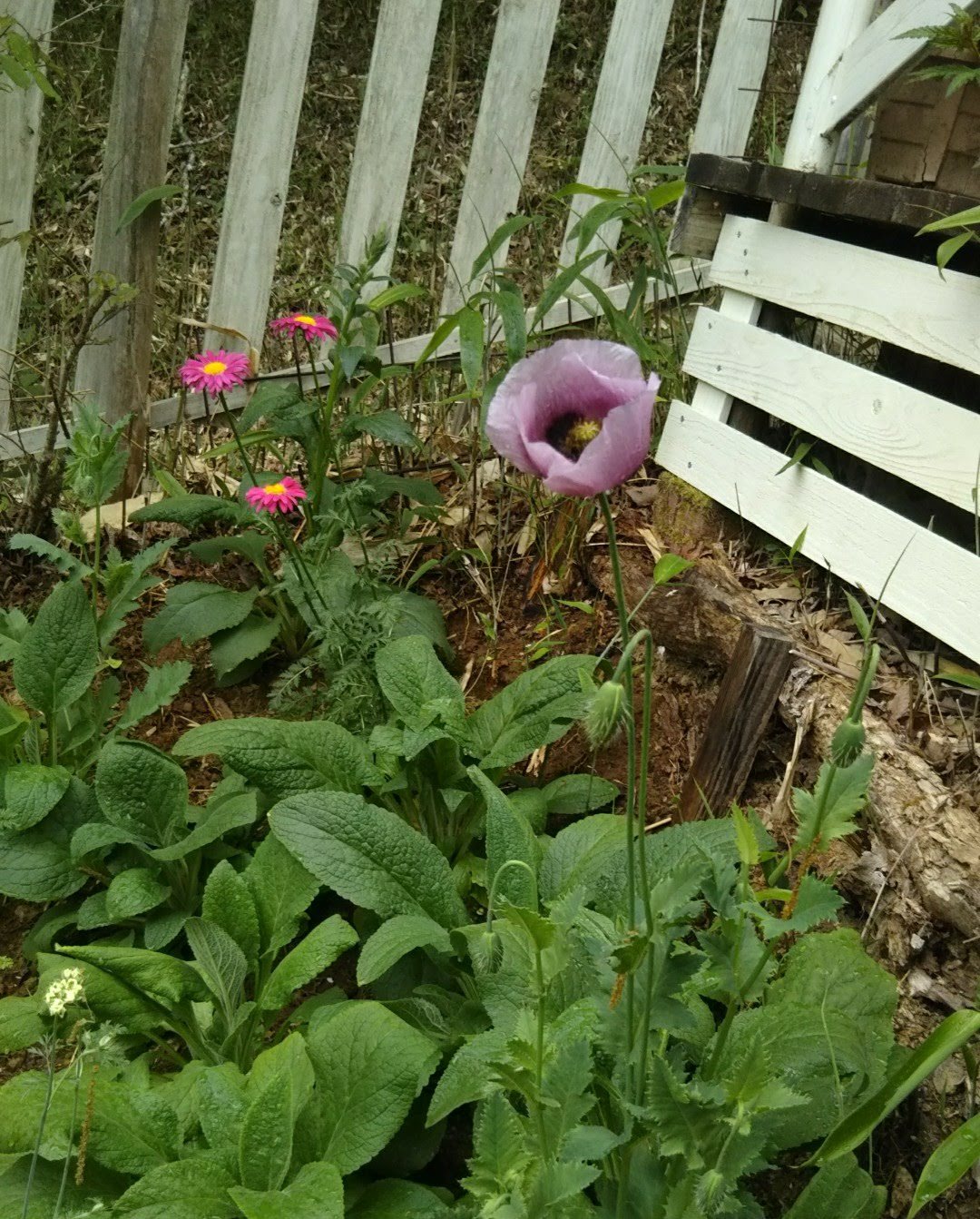 f0090444_22351386.jpg