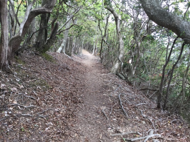 c0073152_11154628.jpg