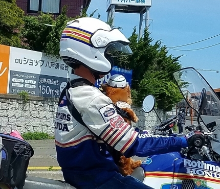 バイクに乗った犬♪_c0151053_16222872.jpg