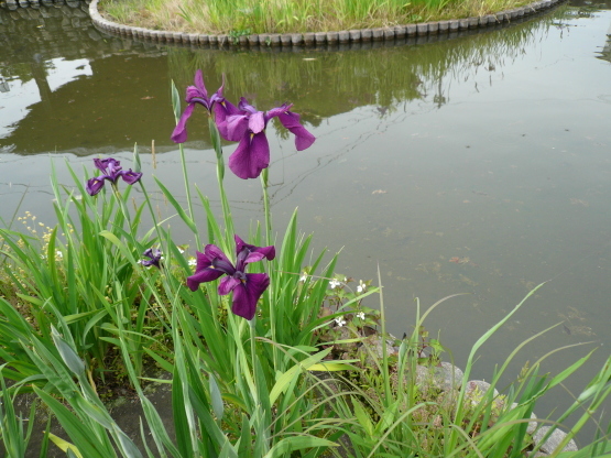 c0043055_11101745.jpg