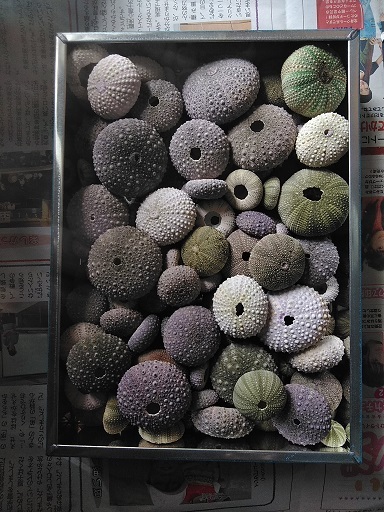 c0172261_06185959.jpg
