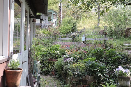 4月の庭 Mimosa Garden Diary 4月の庭 Mimosa Garden Diary