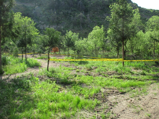 c0080863_11191440.jpg