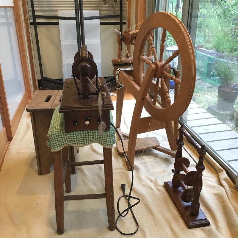 糸紡ぎ_e0412667_22334413.jpeg
