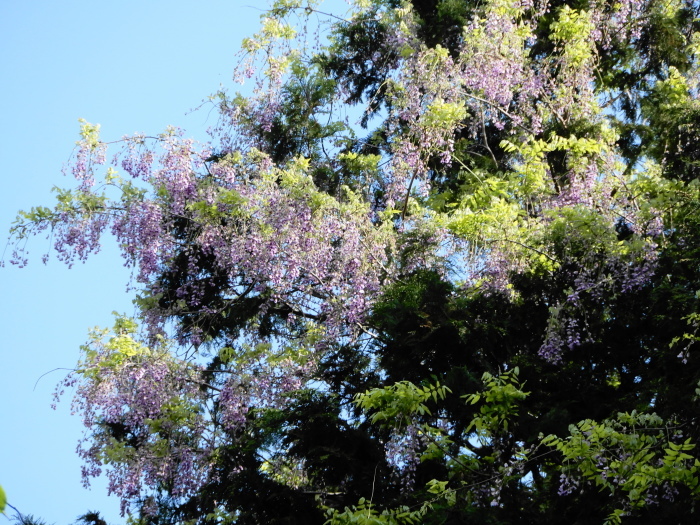 c0143772_15481320.jpg