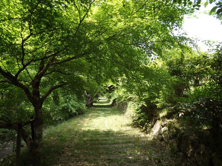 d0054276_20342224.jpg