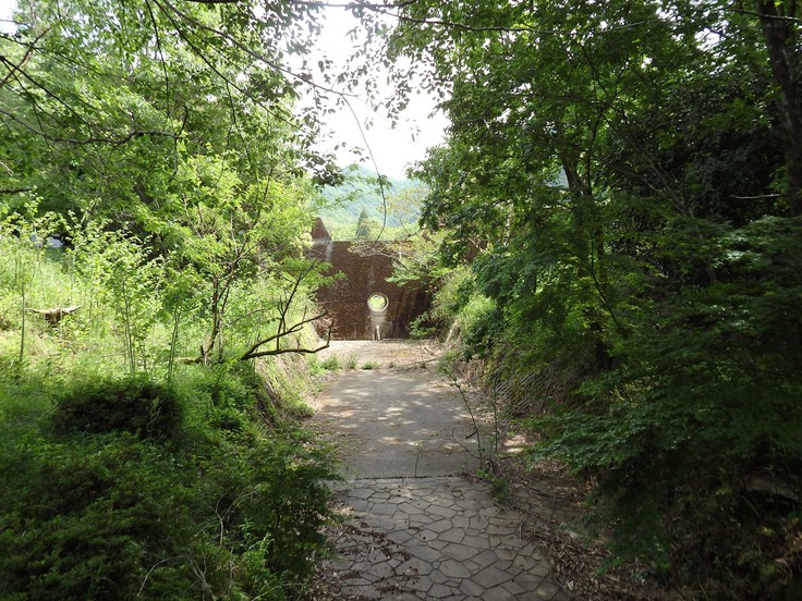 d0054276_20343189.jpg