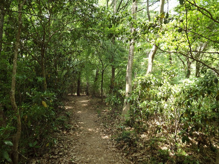 d0054276_20351197.jpg