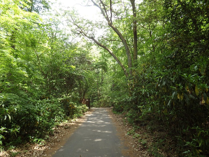 d0054276_2035273.jpg