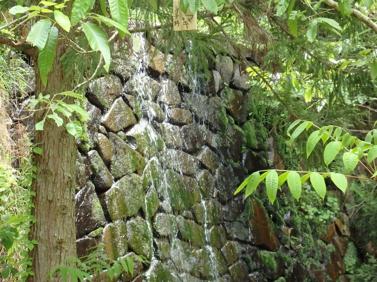 d0054276_2037878.jpg