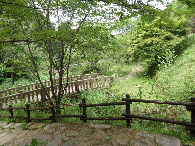 d0054276_2038393.jpg